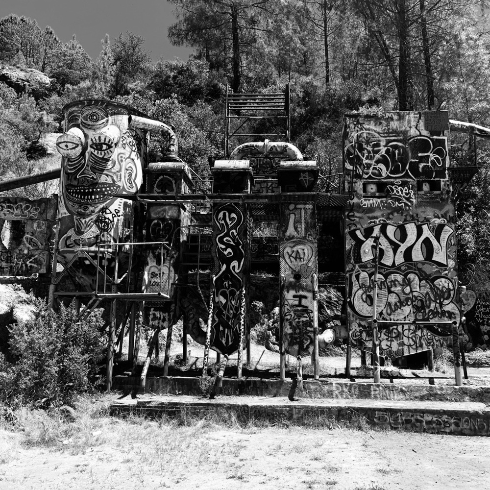 Meet your Posher, Izzy